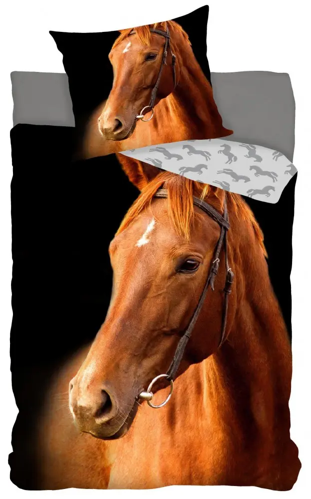 Jazdný poťah na perinu 140x200 cm, 70x90 cm produktová fotografia