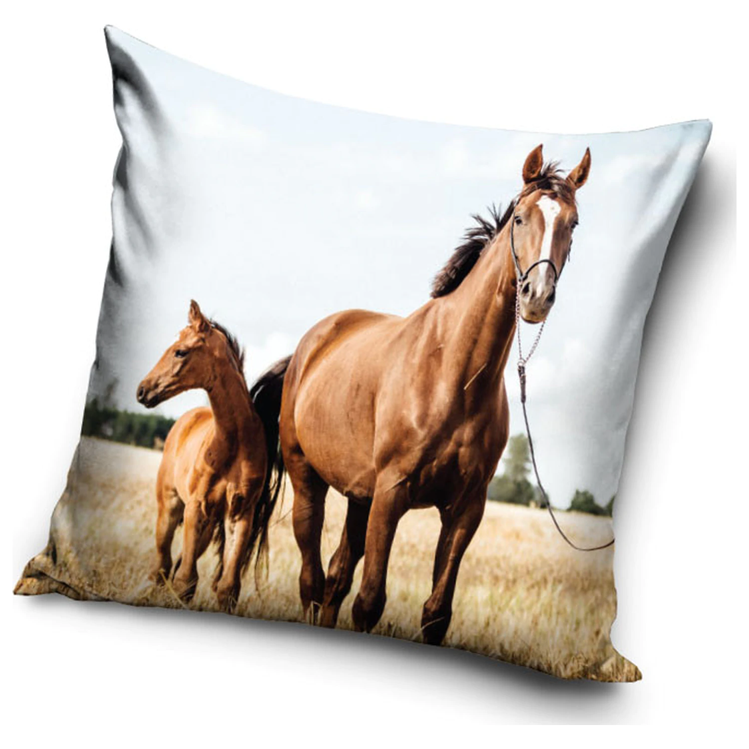 Obliečka na vankúš Rider Loyal Hearts produktová fotografia