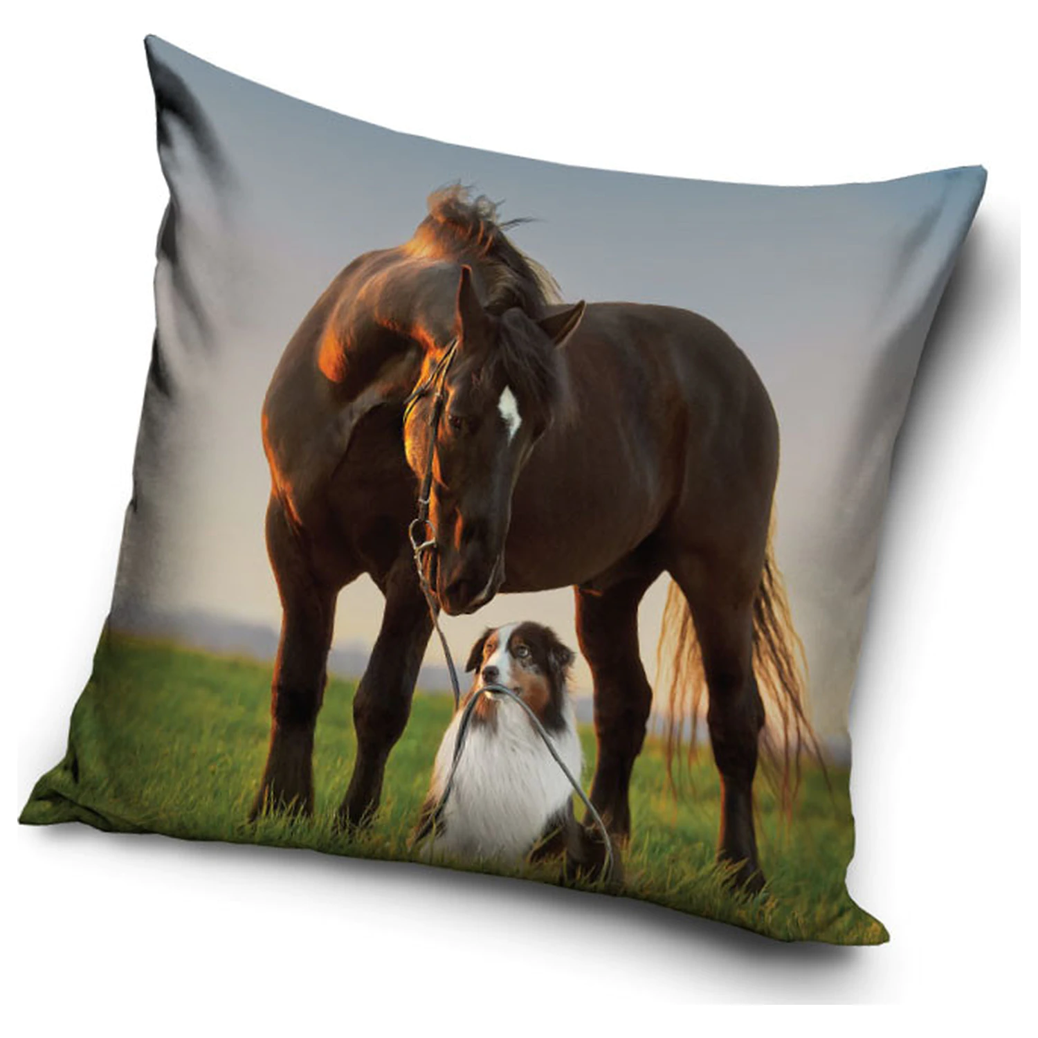 Lovas Sunset Companions obliečka na vankúš produktová fotografia