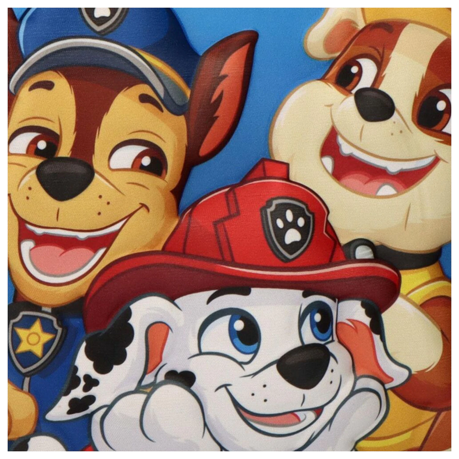 Paw Patrol 3D taška na obed produktová fotografia
