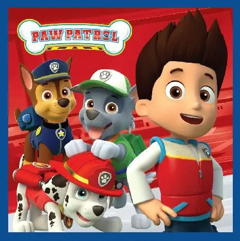 Paw Patrol Magic Uterák na ruky, Uterák na tvár, Uterák 30x30cm produktová fotografia