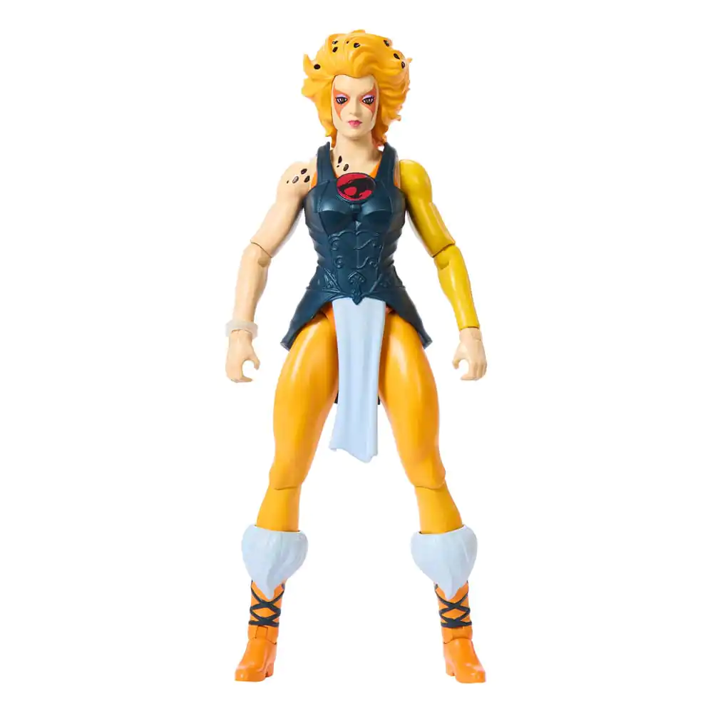Masters of the Universe x ThunderCats Akčná figúrka Cheetara 14 cm produktová fotografia