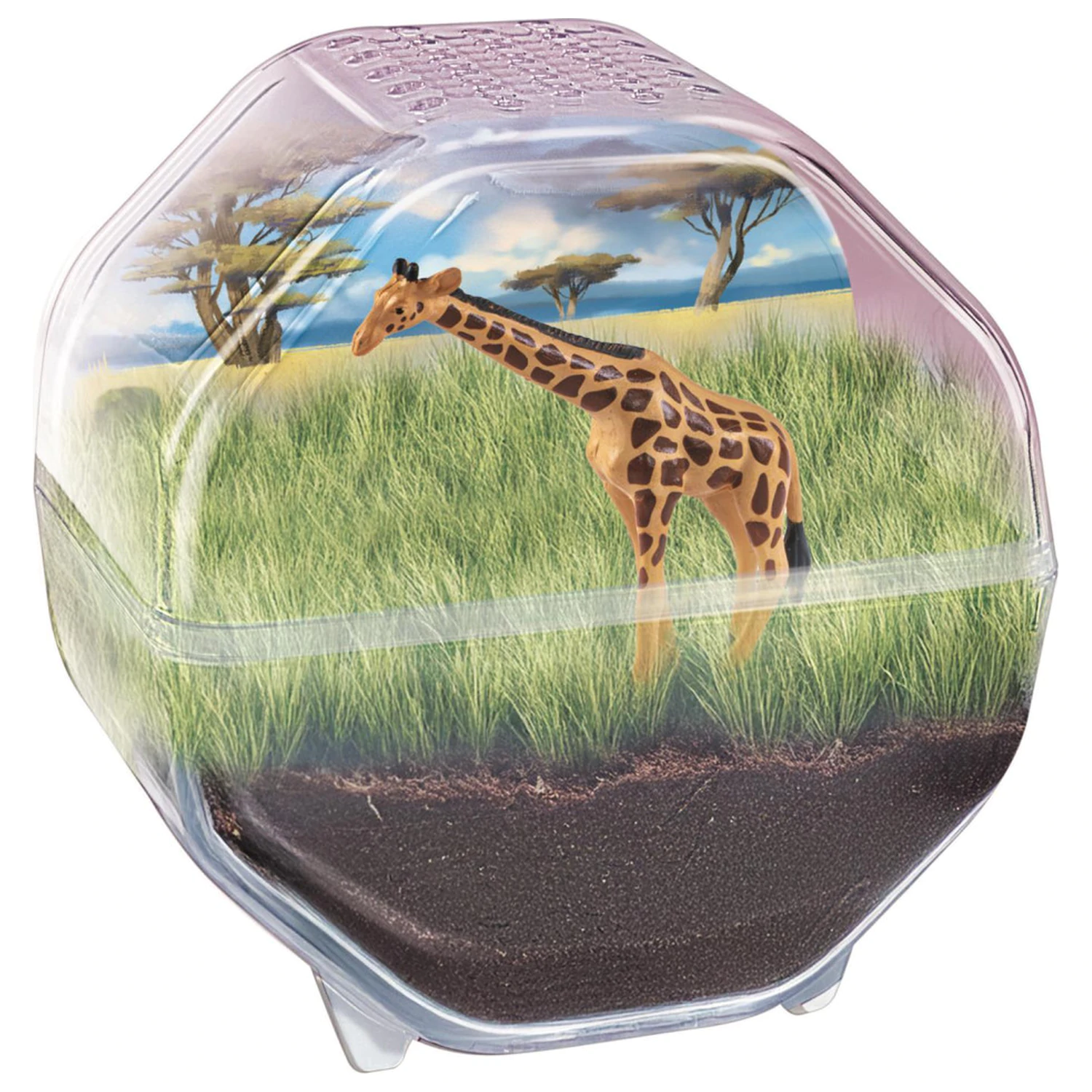 Mini Giraffe teráriá produktová fotografia