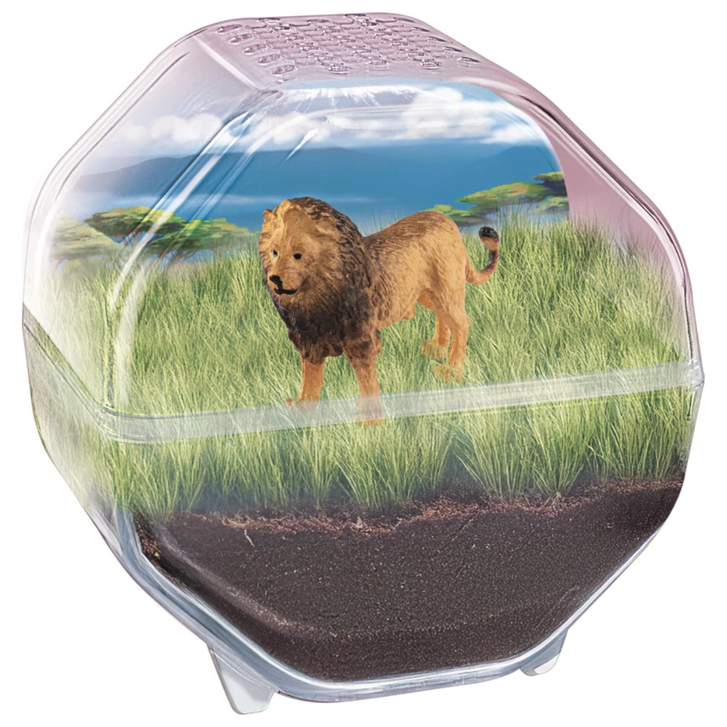 Mini Lion terárium produktová fotografia