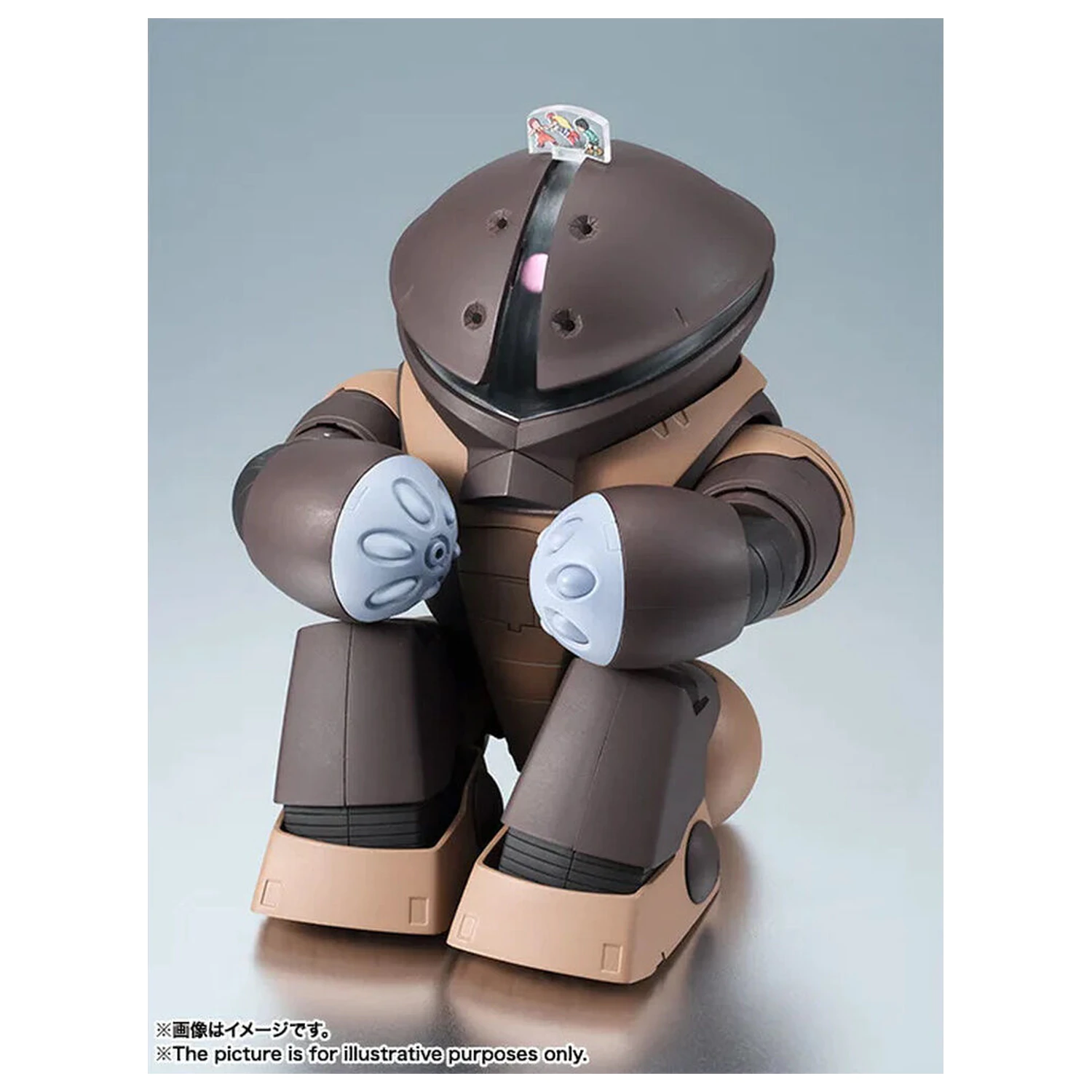 Mobile Suit Gundam The Robot Spirits Side MS MSM-04 Acguy ver. A.N.I.M.E. figúrka 13 cm produktová fotografia