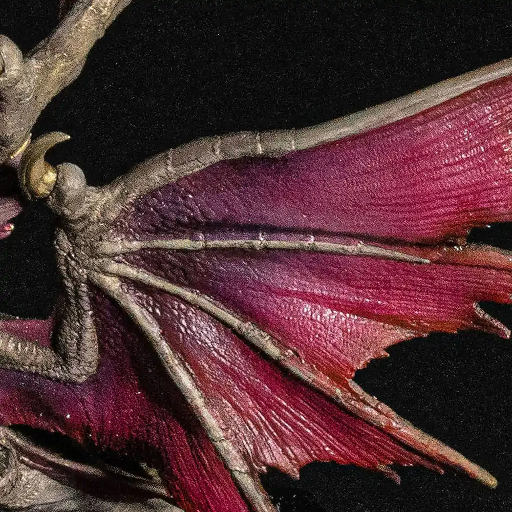 Monster Hunter PVC Socha CFB Creators Model Malzeno 13 cm produktová fotografia