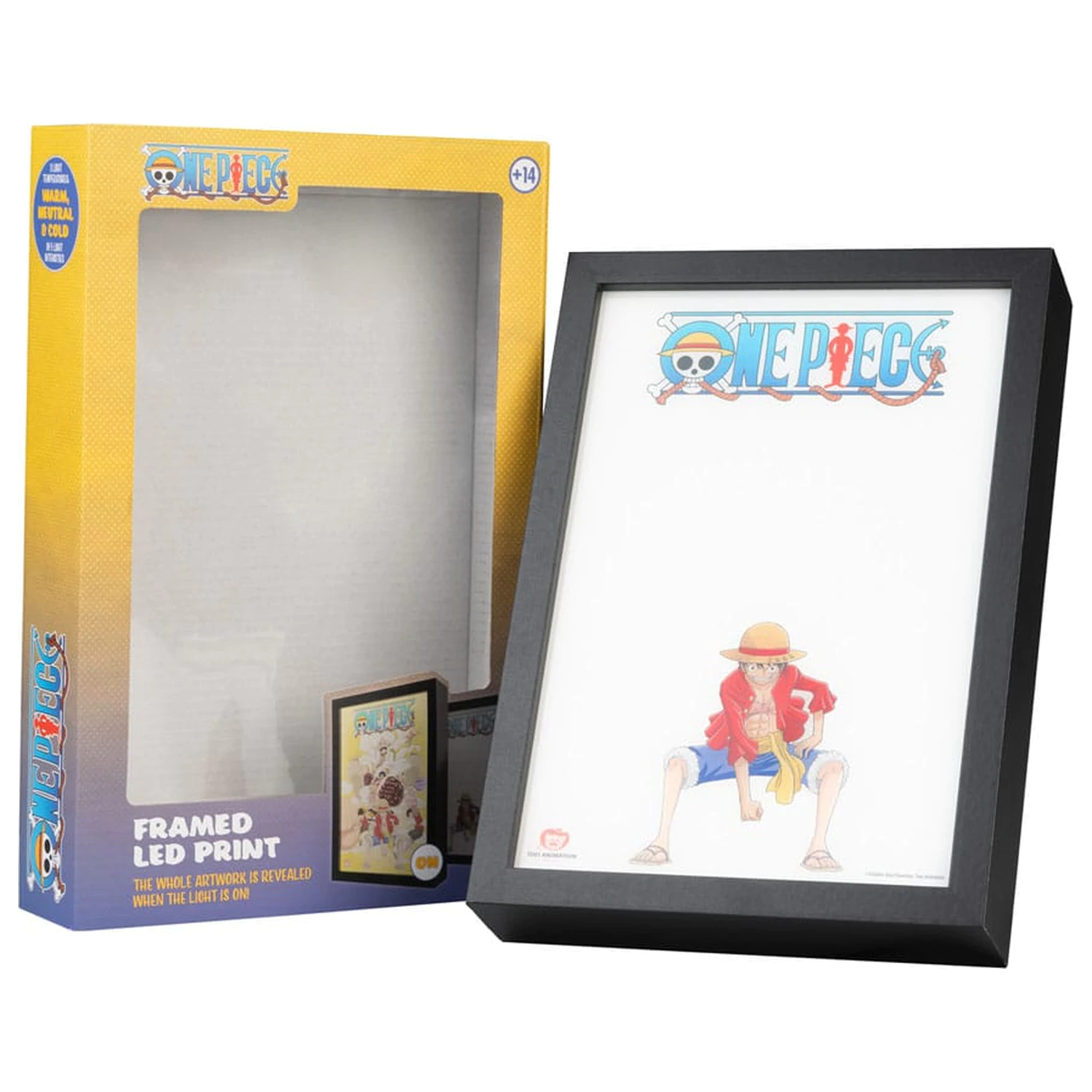 One Piece zarámovaná LED potlač produktová fotografia