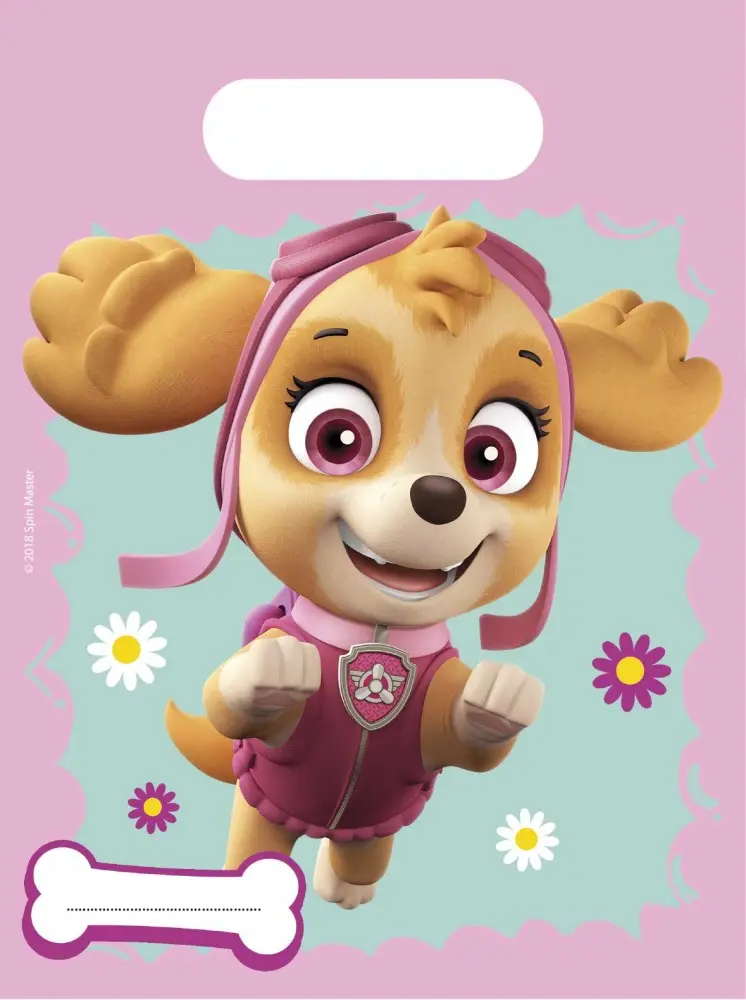 Paw Patrol Skye and Everest Darčeková taška, 6 kusov produktová fotografia