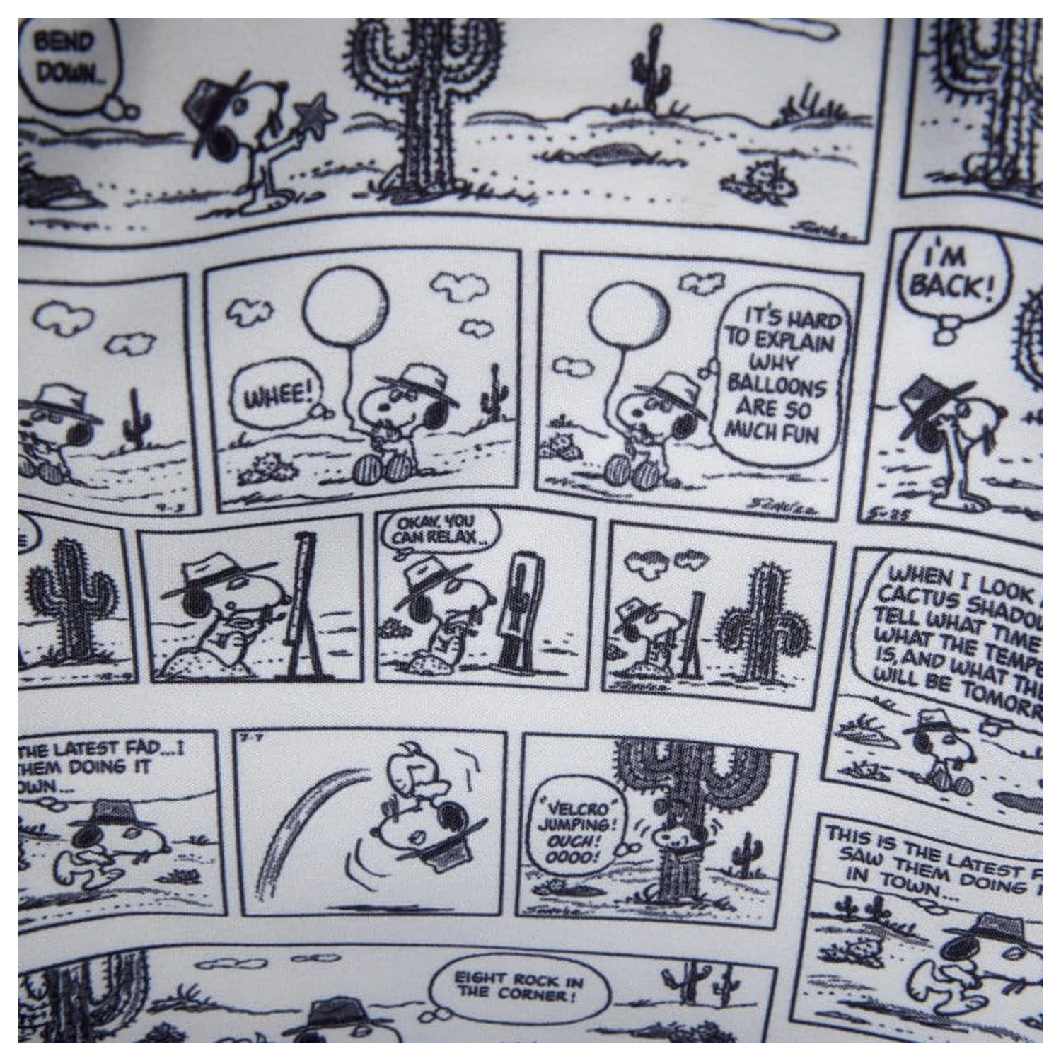 Peanuts by Loungefly Crossbody taška Spike Desert Cactus produktová fotografia