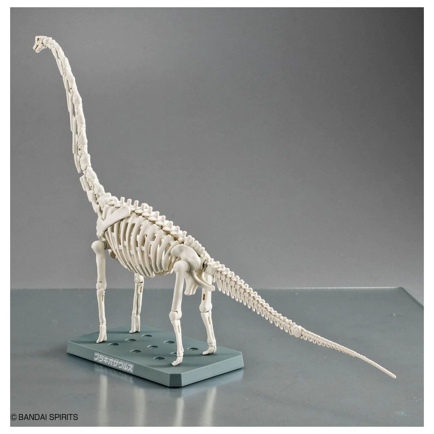 Model Kit Plannosaurus Brachiosaurus produktová fotografia