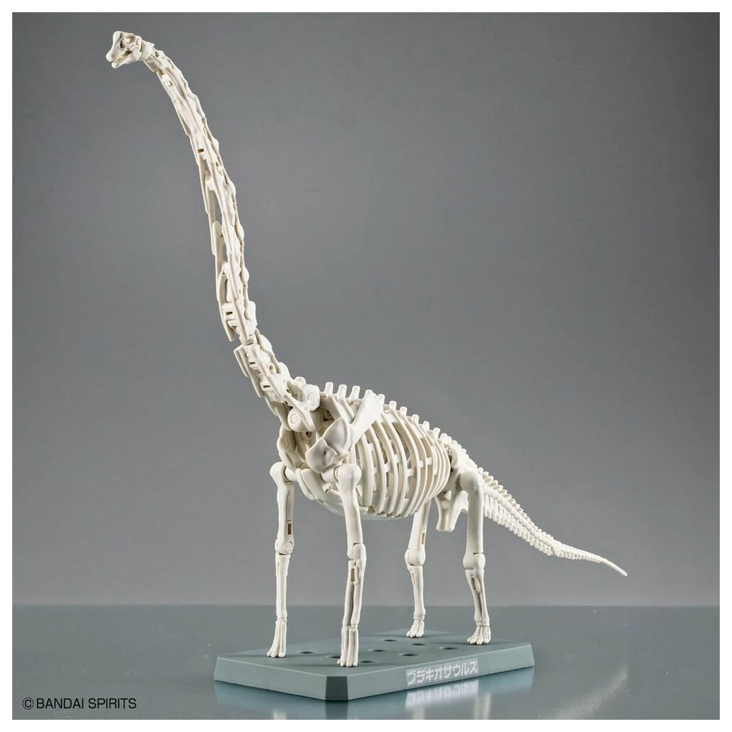 Model Kit Plannosaurus Brachiosaurus produktová fotografia