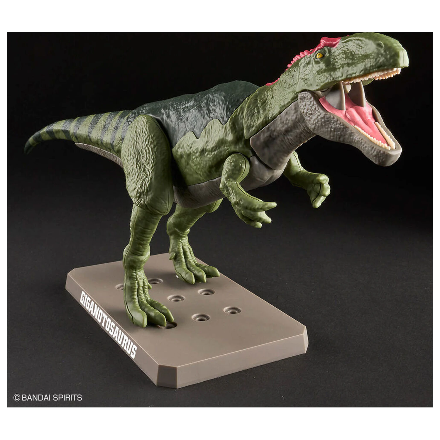 Model Kit Plannosaurus Giganotosaurus produktová fotografia