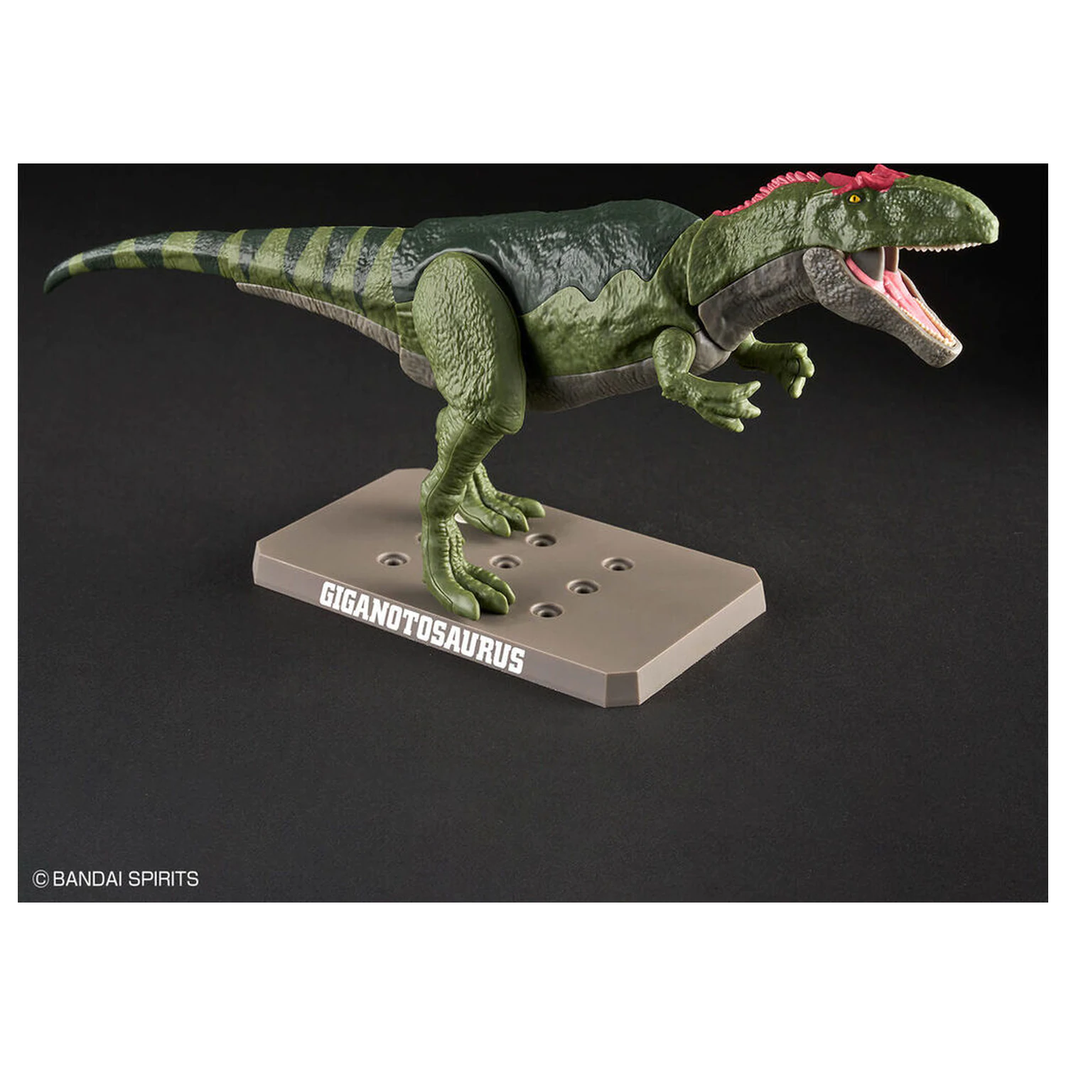 Model Kit Plannosaurus Giganotosaurus produktová fotografia