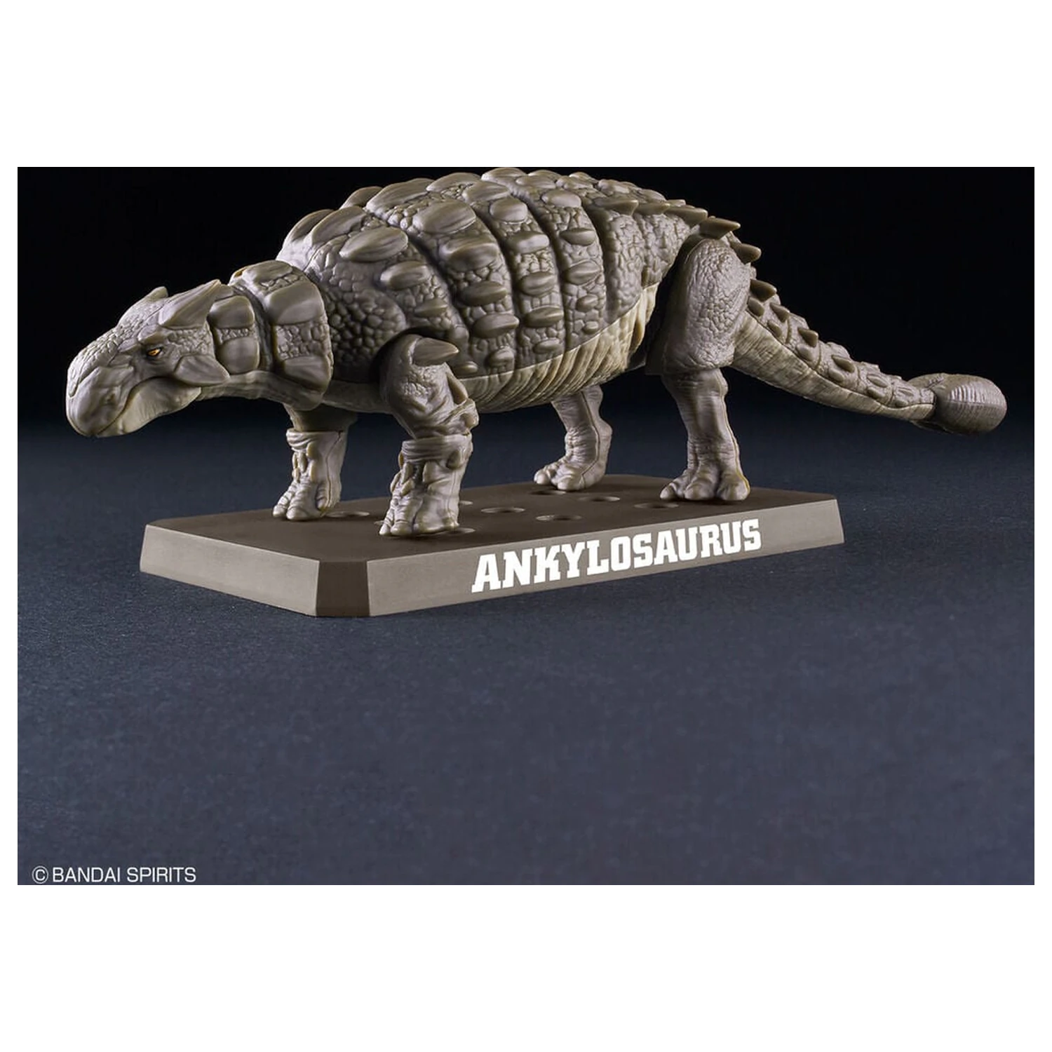 Planosaurus Ankylosaurus Modelársky kit produktová fotografia
