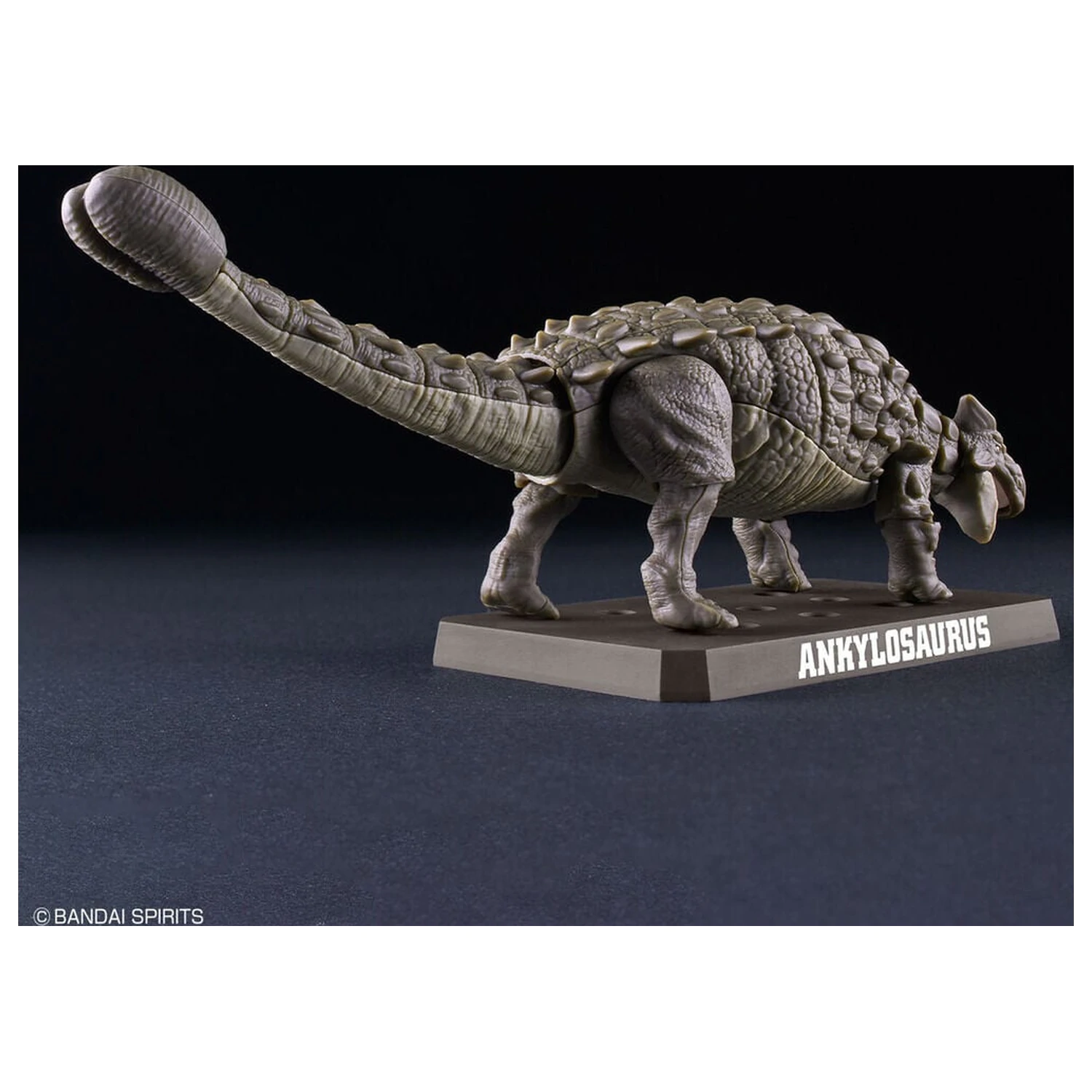 Planosaurus Ankylosaurus Modelársky kit produktová fotografia