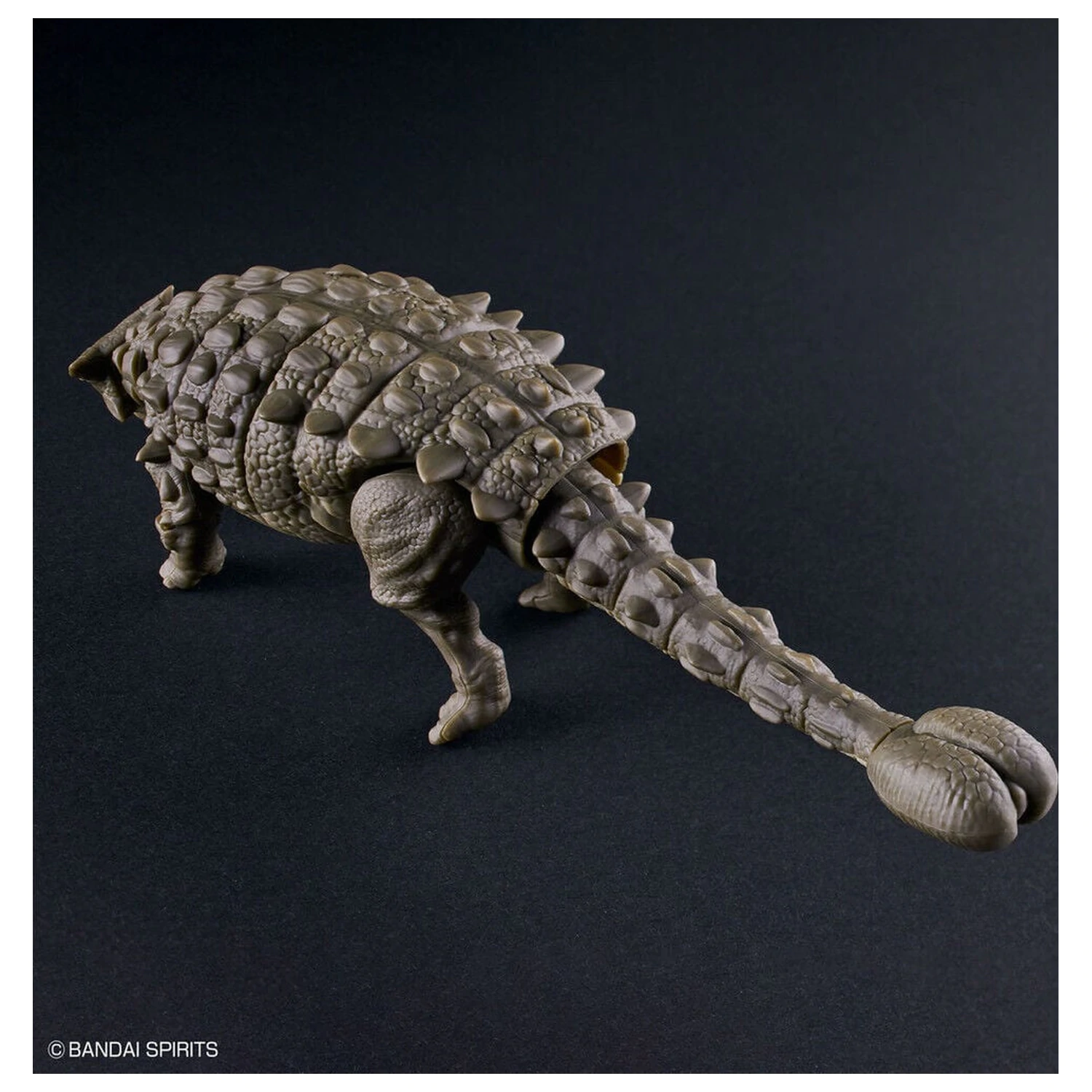 Planosaurus Ankylosaurus Modelársky kit produktová fotografia