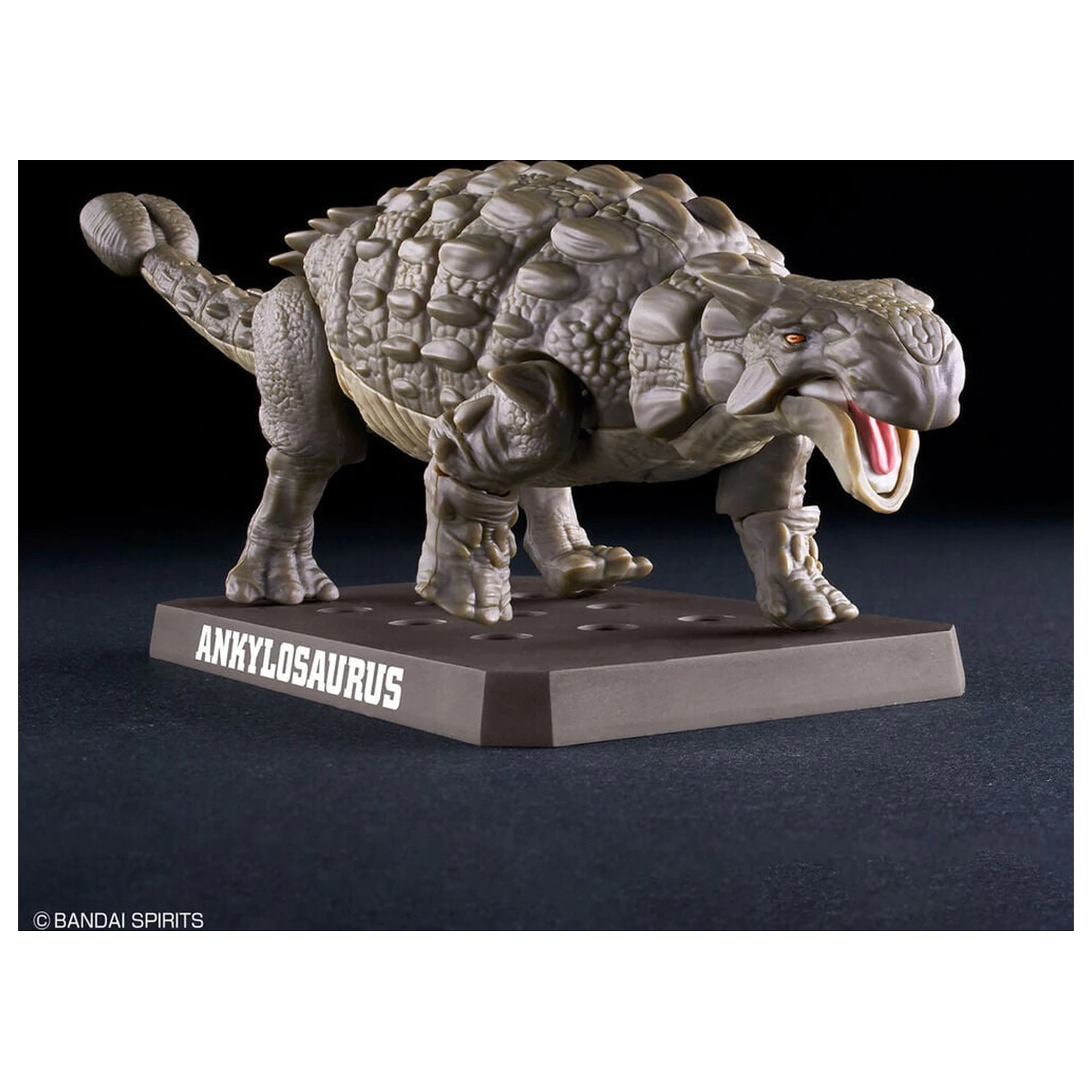 Planosaurus Ankylosaurus Modelársky kit produktová fotografia