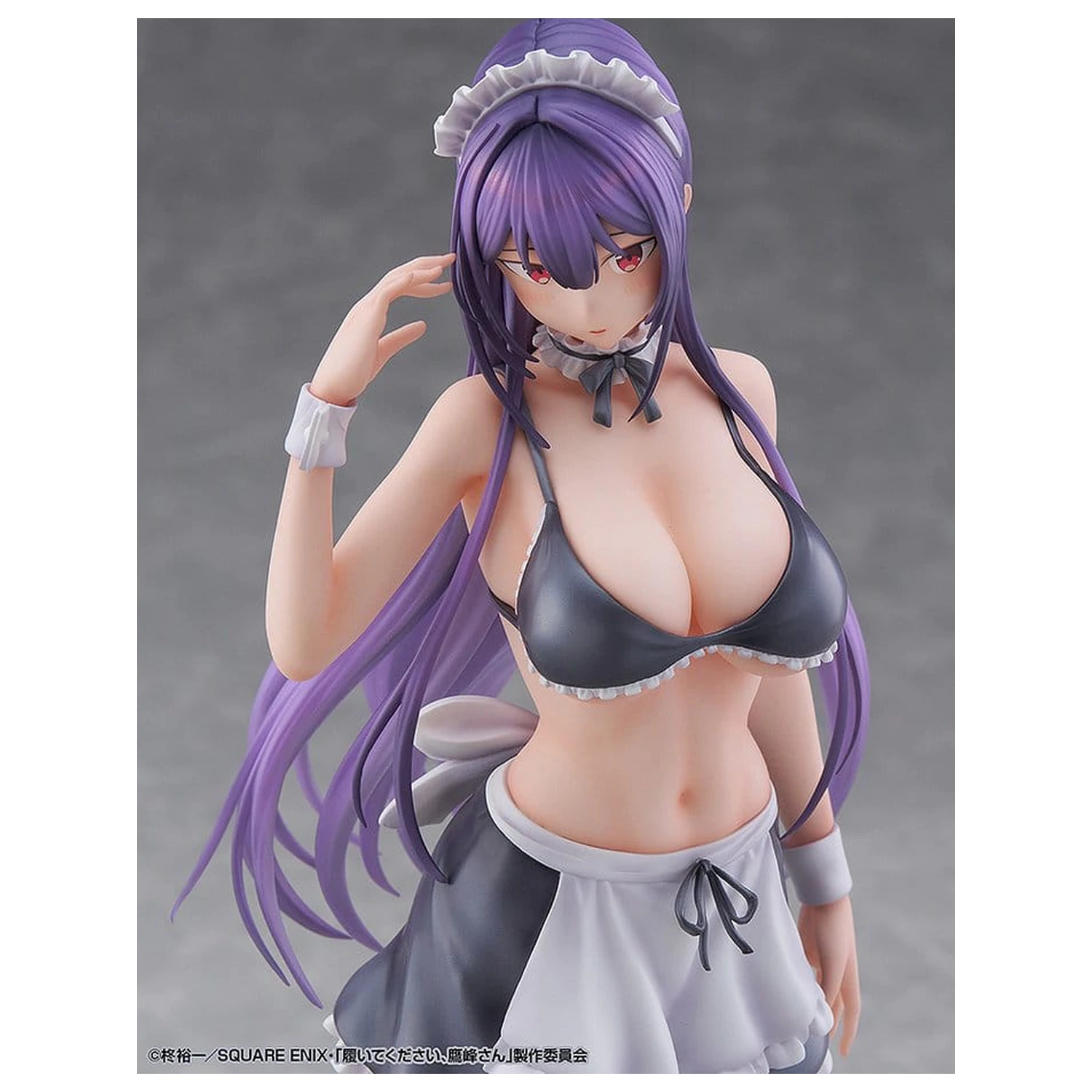 "Please Put Them On, Takamine-san" PVC figúrka 1/6 Takane Takamine 25 cm produktová fotografia