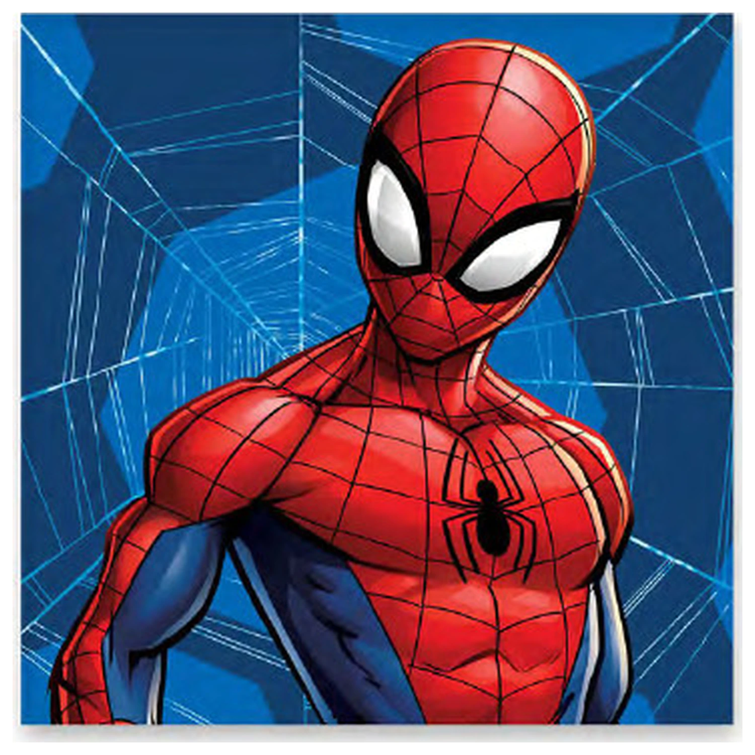 Spider-Man Web uterák na ruky, uterák na tvár, uterák produktová fotografia