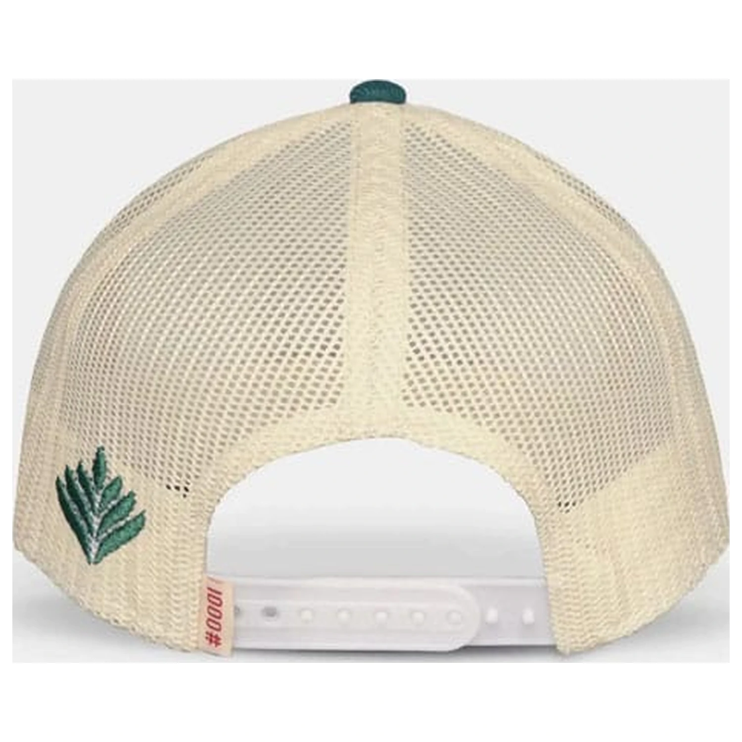 Pokémon Trucker šiltovka Bulbasaur produktová fotografia