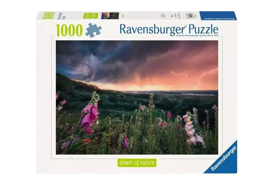 Power of Nature Puzzle A Storm is coming (1000 dielikov) produktová fotografia