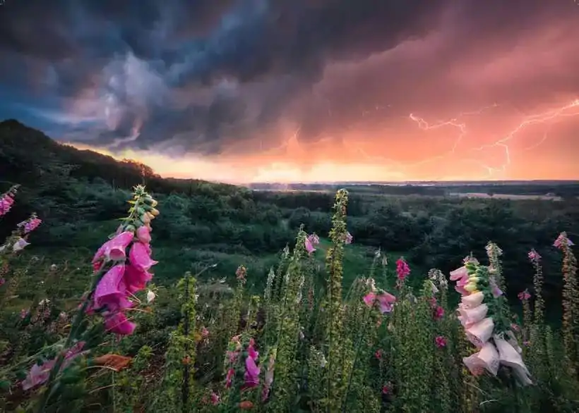 Power of Nature Puzzle A Storm is coming (1000 dielikov) produktová fotografia