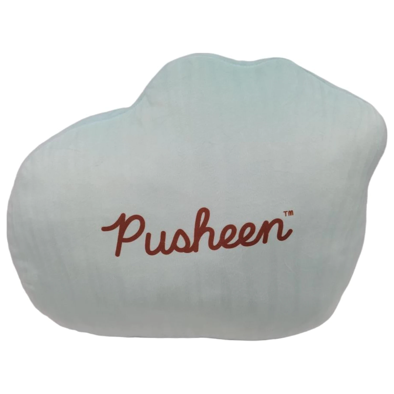 Pusheen vankúš v tvare Donutu produktová fotografia