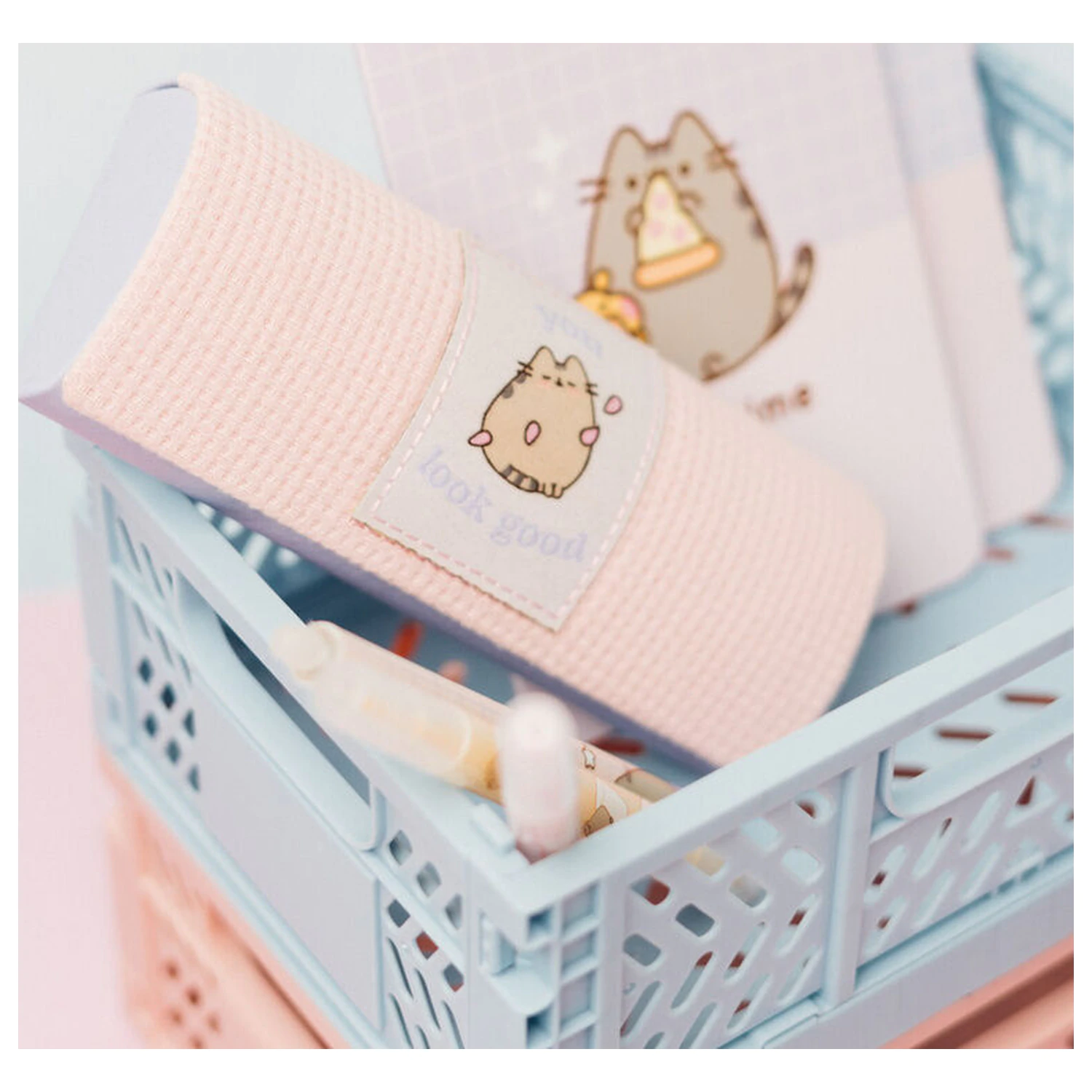 Puzdro na okuliare Pusheen produktová fotografia