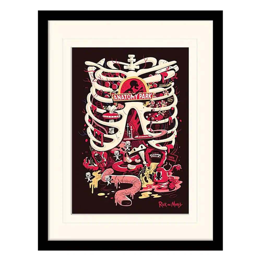 Rick and Morty Collector Print Rámovaný plagát Anatomy Park (biele pozadie) produktová fotografia