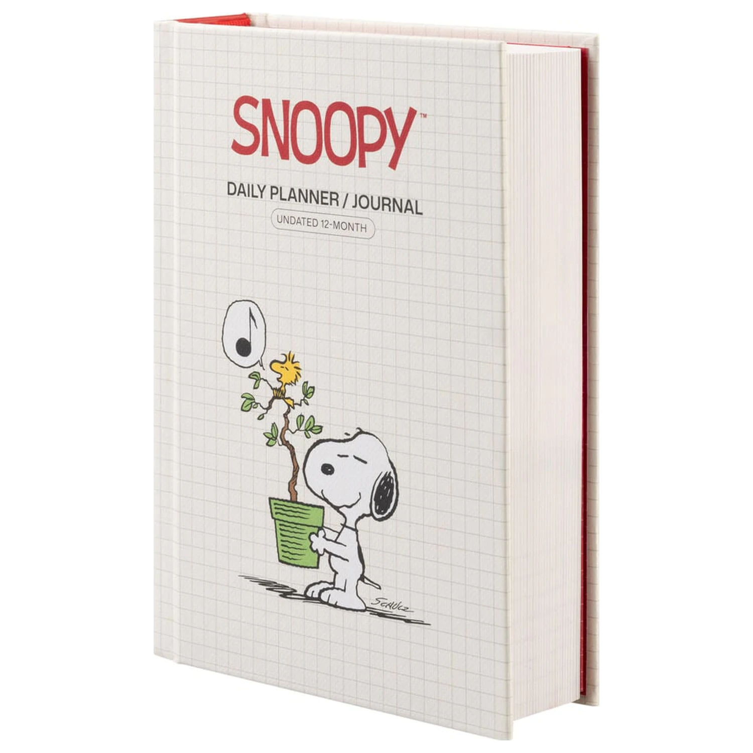 Snoopy A6 nedatovaný denný diár produktová fotografia