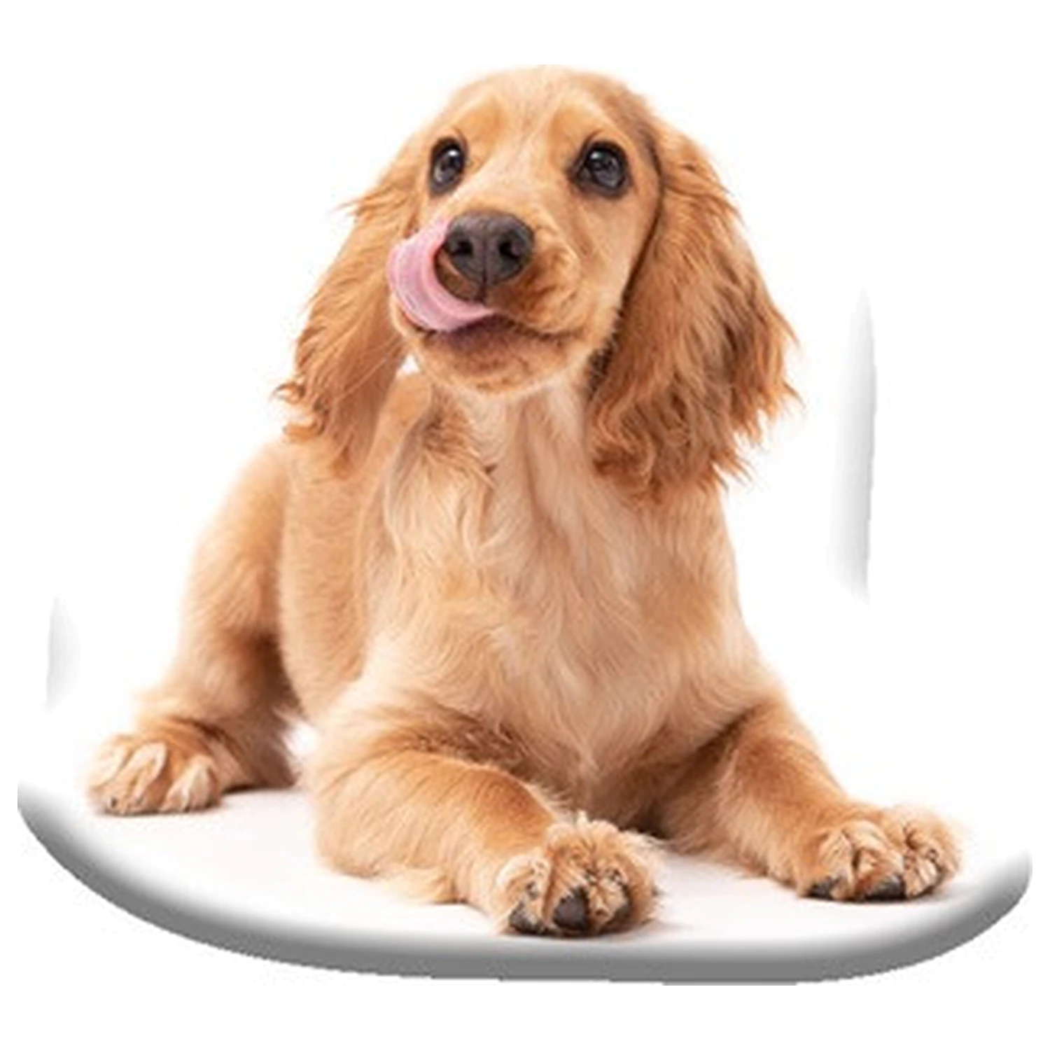 Vankúš v tvare španiela produktová fotografia