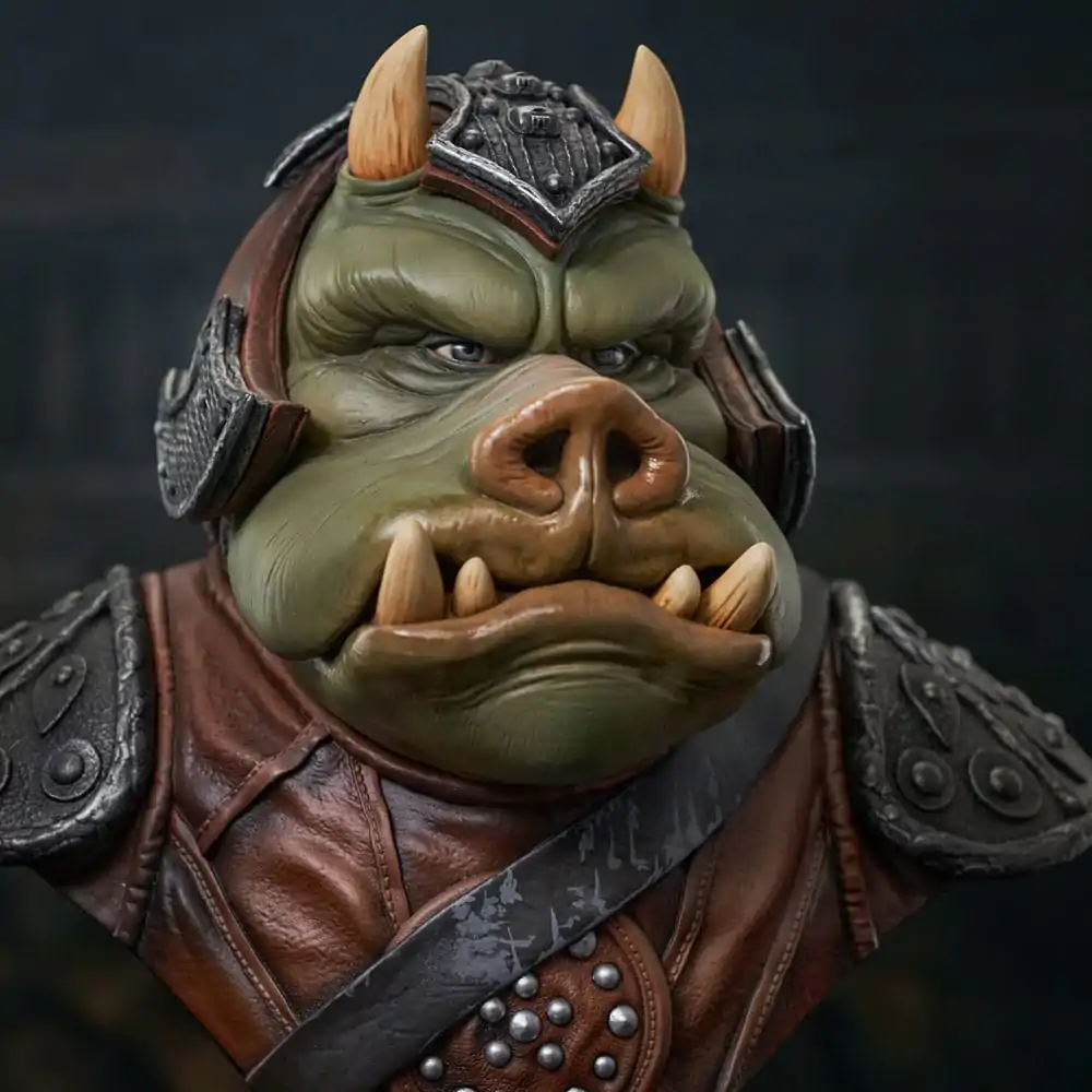 Star Wars Episode VI Legends in 3D Busta 1/2 Gamorrean Guard 25 cm produktová fotografia