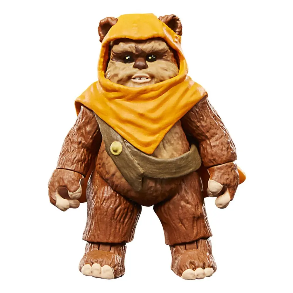 Star Wars: Ewoks Vintage Collection Akčné Figúrky Wicket W Warrick & Kneesaa 10 cm produktová fotografia