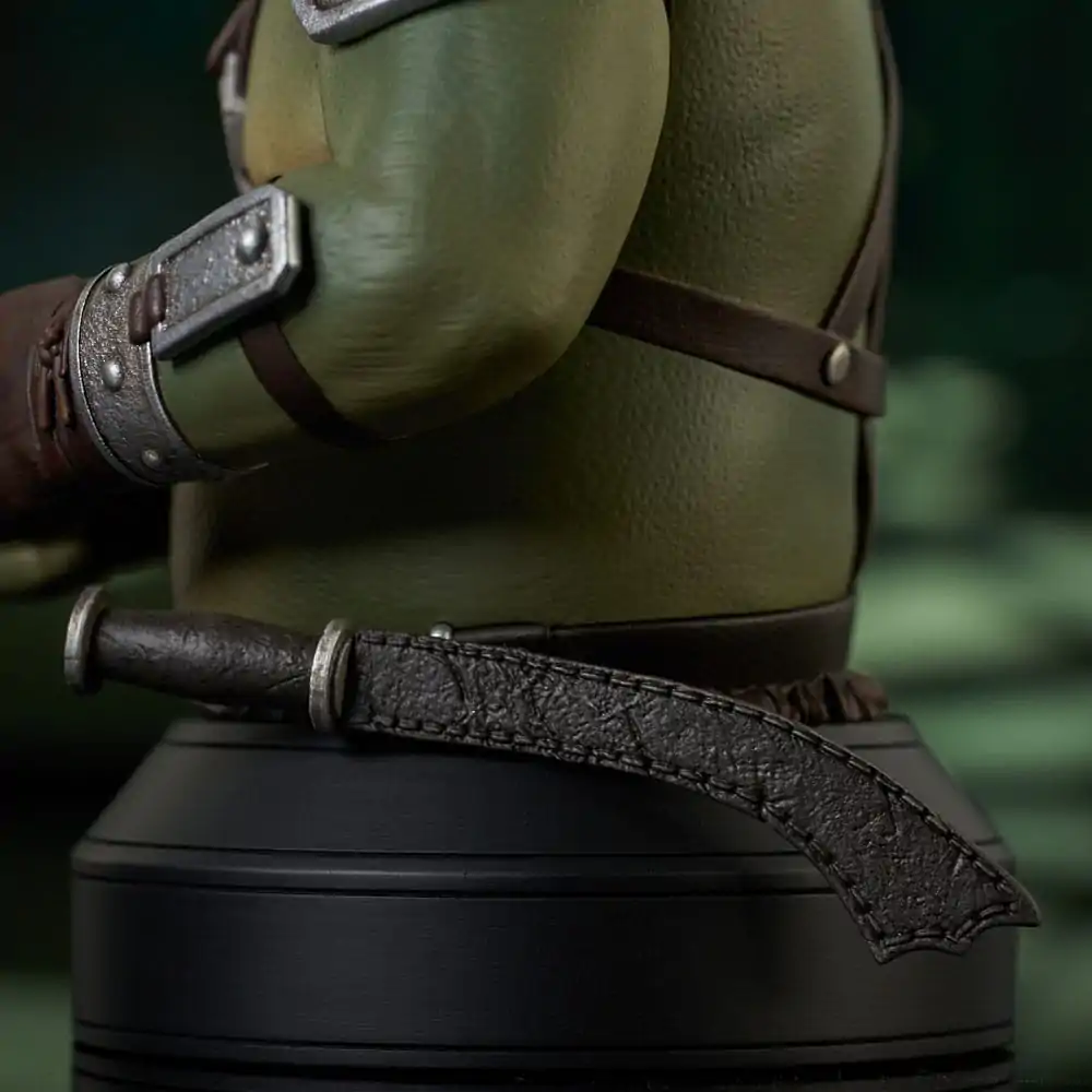 Star Wars: The Book of Boba Fett Busta 1/6 Gamorrean Guard St. Patrick's Day Exclusive 15 cm produktová fotografia