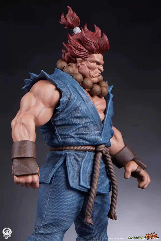 Street Fighter PVC Sochy 1/10 Akuma & Dhalsim 21 cm produktová fotografia