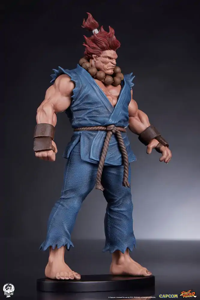Street Fighter PVC Sochy 1/10 Akuma & Dhalsim 21 cm produktová fotografia