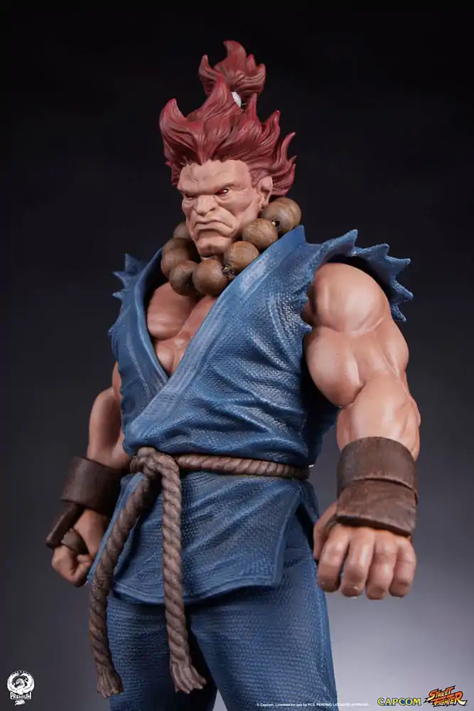 Street Fighter PVC Sochy 1/10 Akuma & Dhalsim 21 cm produktová fotografia