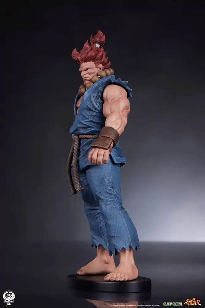 Street Fighter PVC Sochy 1/10 Akuma & Dhalsim 21 cm produktová fotografia