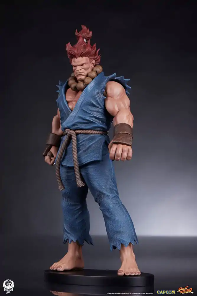 Street Fighter PVC Sochy 1/10 Akuma & Dhalsim 21 cm produktová fotografia