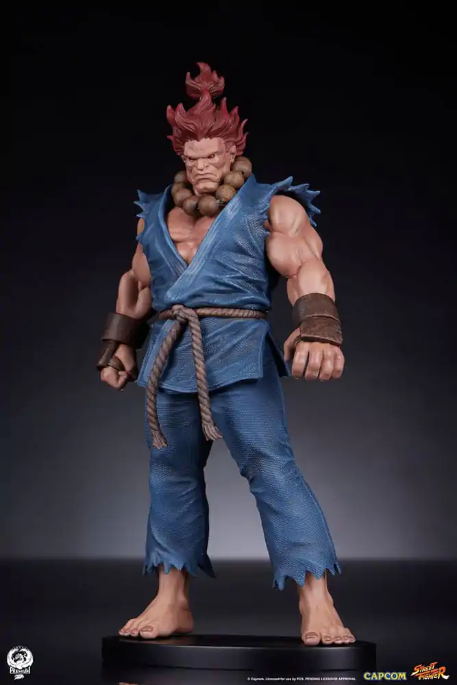 Street Fighter PVC Sochy 1/10 Akuma & Dhalsim 21 cm produktová fotografia