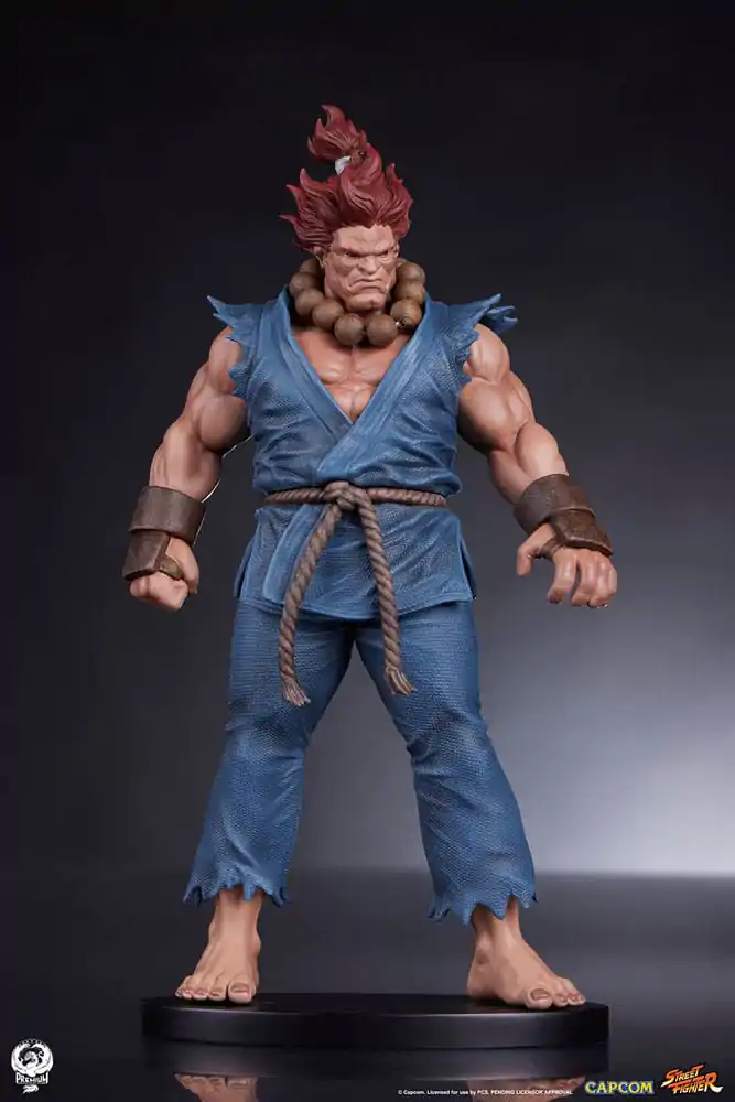 Street Fighter PVC Sochy 1/10 Akuma & Dhalsim 21 cm produktová fotografia