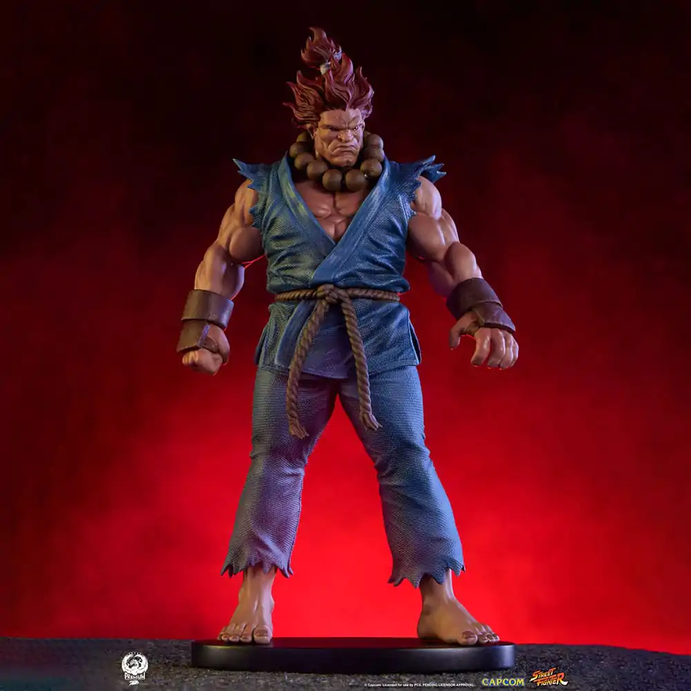 Street Fighter PVC Sochy 1/10 Akuma & Dhalsim 21 cm produktová fotografia