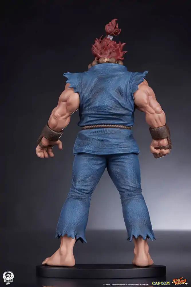 Street Fighter PVC Sochy 1/10 Akuma & Dhalsim 21 cm produktová fotografia