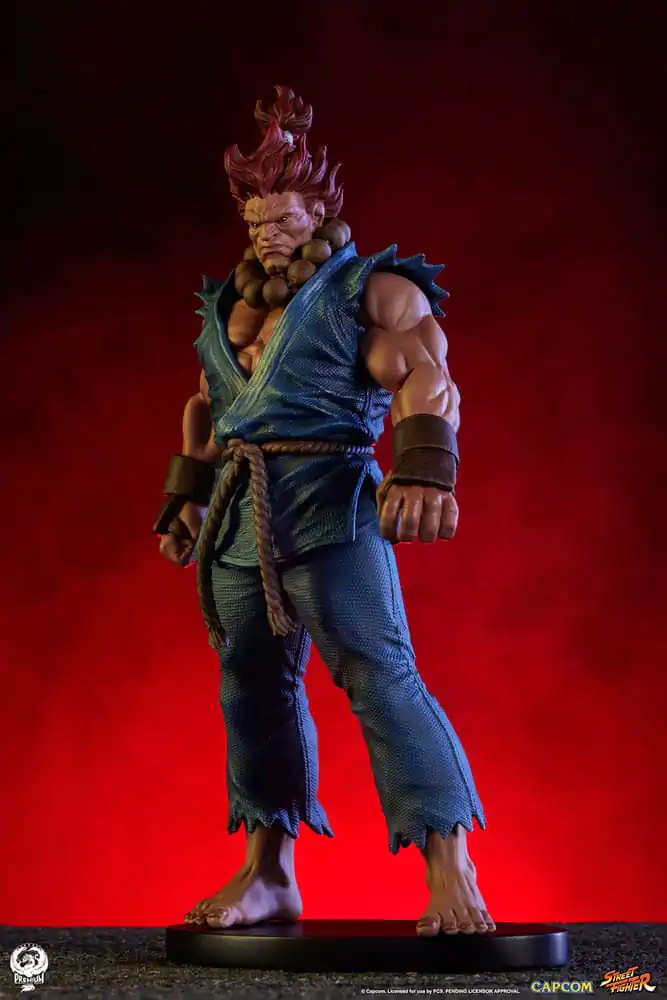 Street Fighter PVC Sochy 1/10 Akuma & Dhalsim 21 cm produktová fotografia