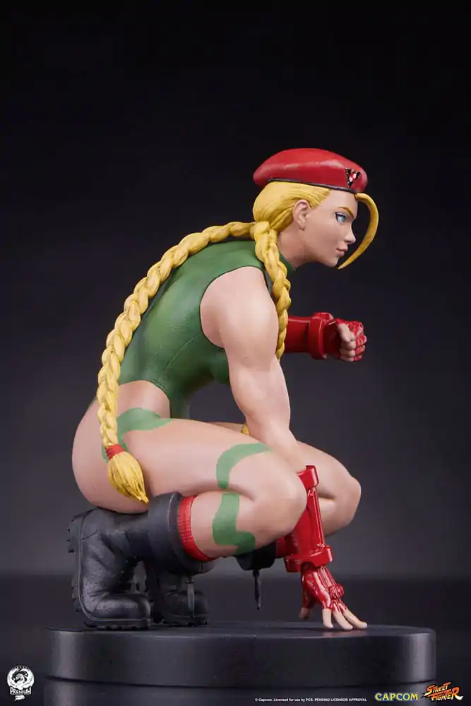 Street Fighter PVC sochy 1/10 Cammy & Birdie 24 cm produktová fotografia