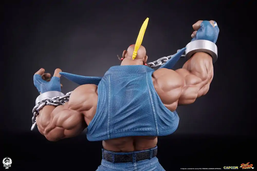 Street Fighter PVC sochy 1/10 Cammy & Birdie 24 cm produktová fotografia