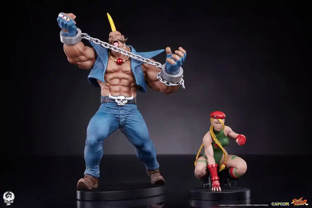 Street Fighter PVC sochy 1/10 Cammy & Birdie 24 cm produktová fotografia