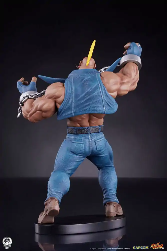 Street Fighter PVC sochy 1/10 Cammy & Birdie 24 cm produktová fotografia
