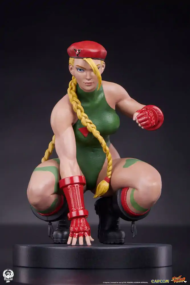 Street Fighter PVC sochy 1/10 Cammy & Birdie 24 cm produktová fotografia