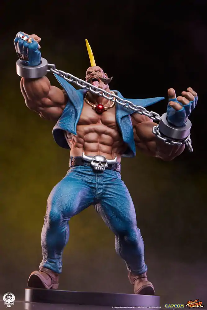 Street Fighter PVC sochy 1/10 Cammy & Birdie 24 cm produktová fotografia